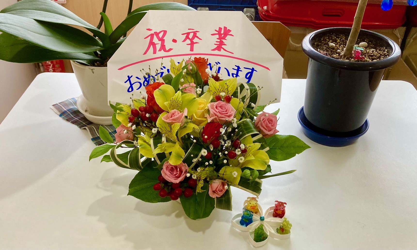 お祝いの花